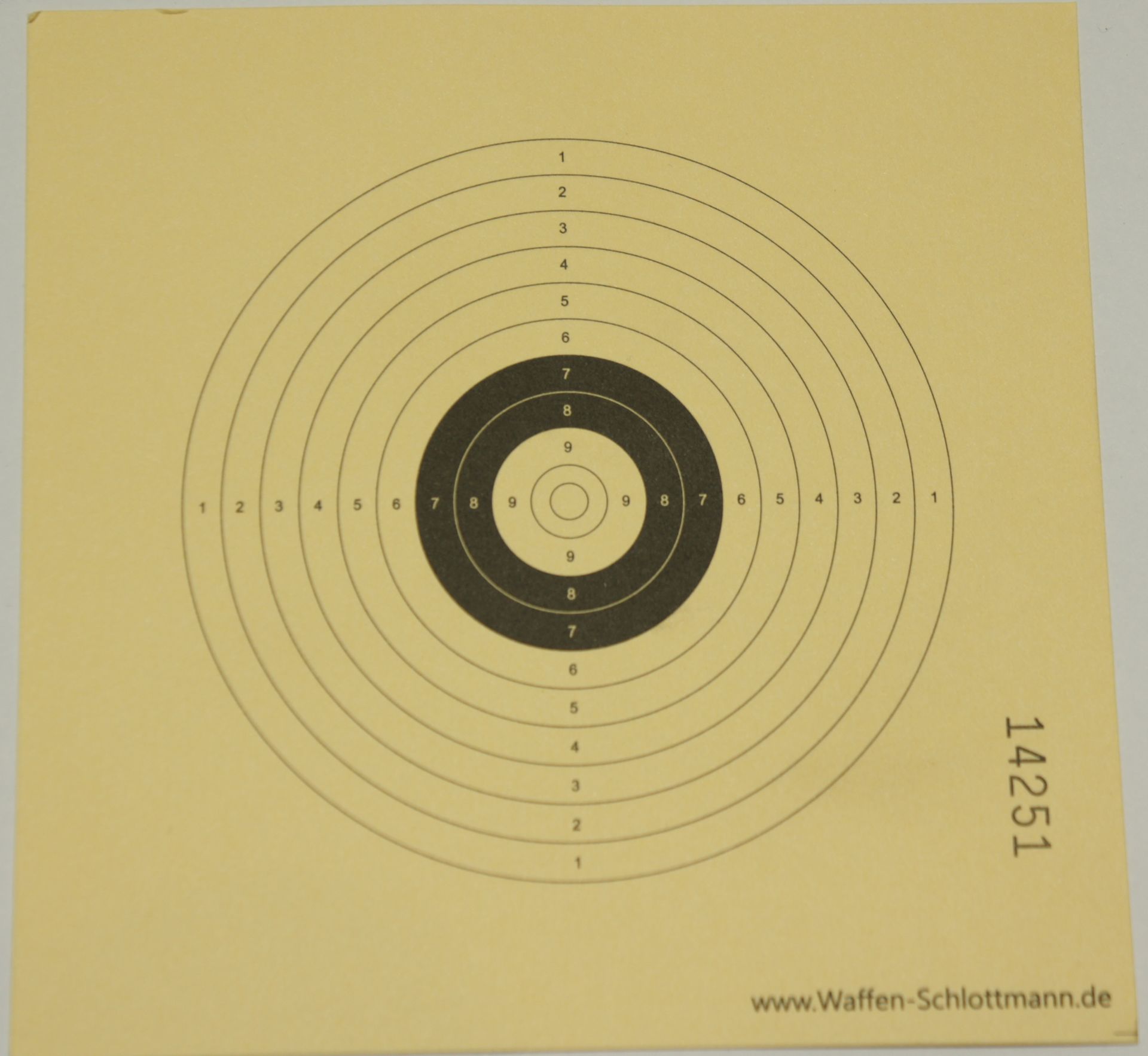 Verkleinerte BDS Zielscheibe im Format 14x14cm, mastabgerecht bei Distanz 5m