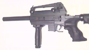 TM Combat Rifle