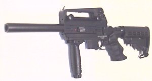 TM Combat Rifle
