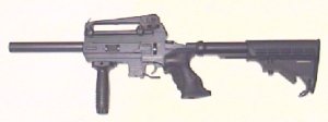 TM Combat Rifle