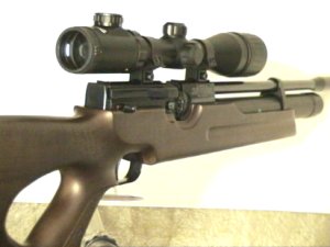 Weihrauch HW 100 Luftgewehr
