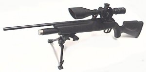 Walther Dominator Luftgewehr