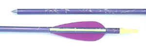 Alu Pfeile zum Bogenschie�en