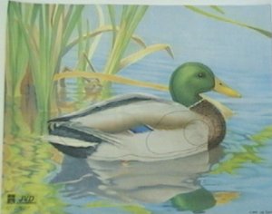 Bogenscheibe, Tierscheibe Ente