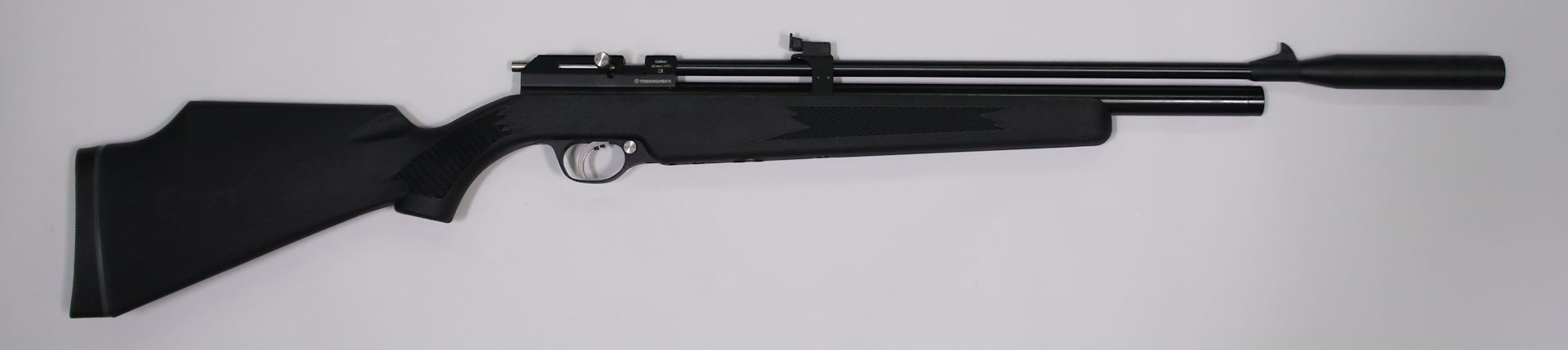 PCP Luftgewehr DIANA STORMRIDER im Kaliber 4,5 mm mit Kunststoffsschaft